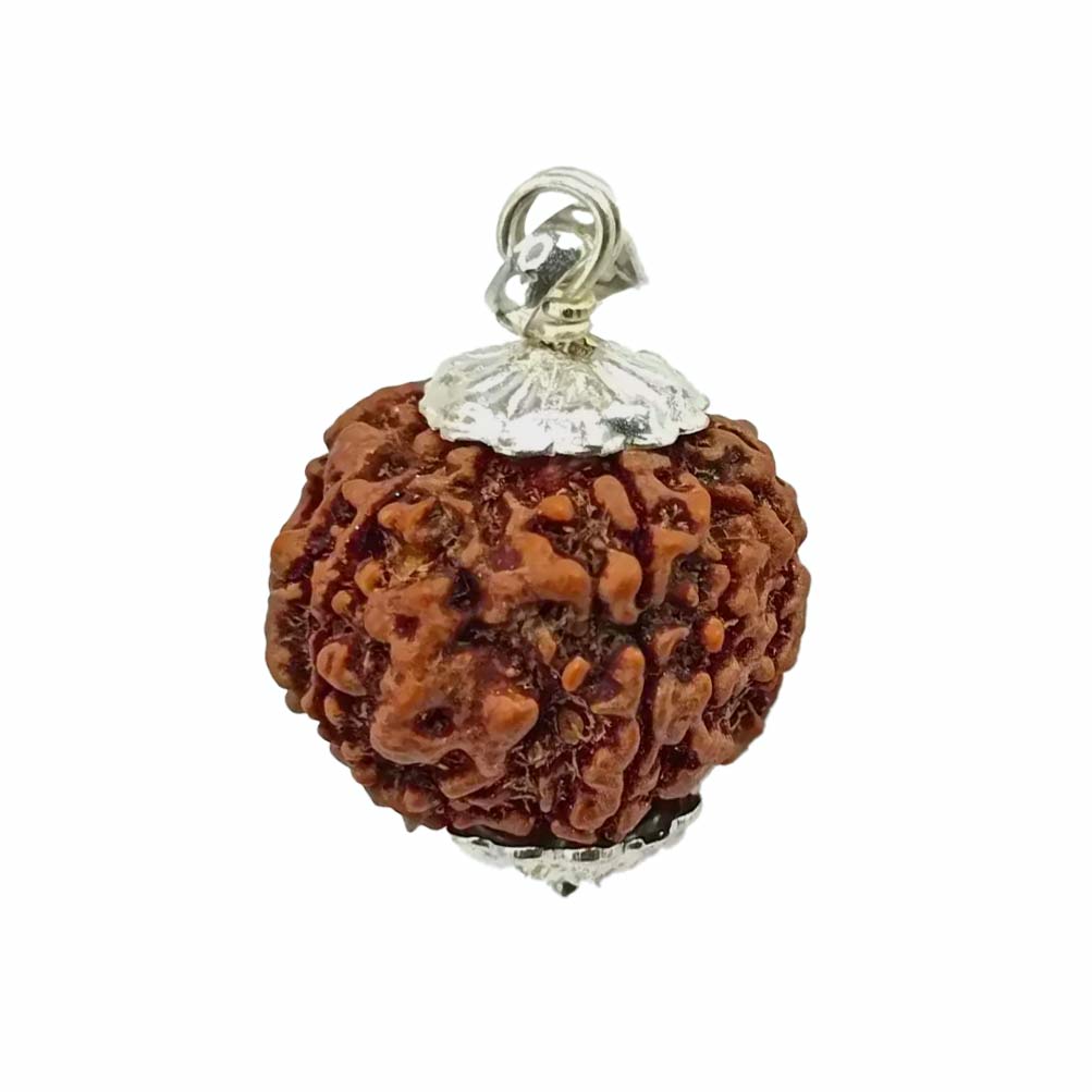 5 Mukhi Natural Rudraksh Bead | 100% Certified Nepal Origin