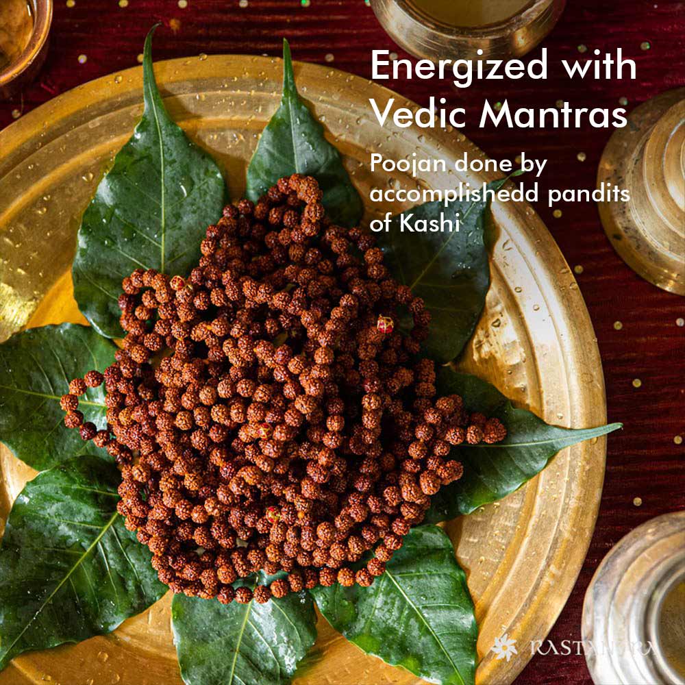 5-Mukhi Rudraksha Mala | Energized with Mantras & 100% Certified