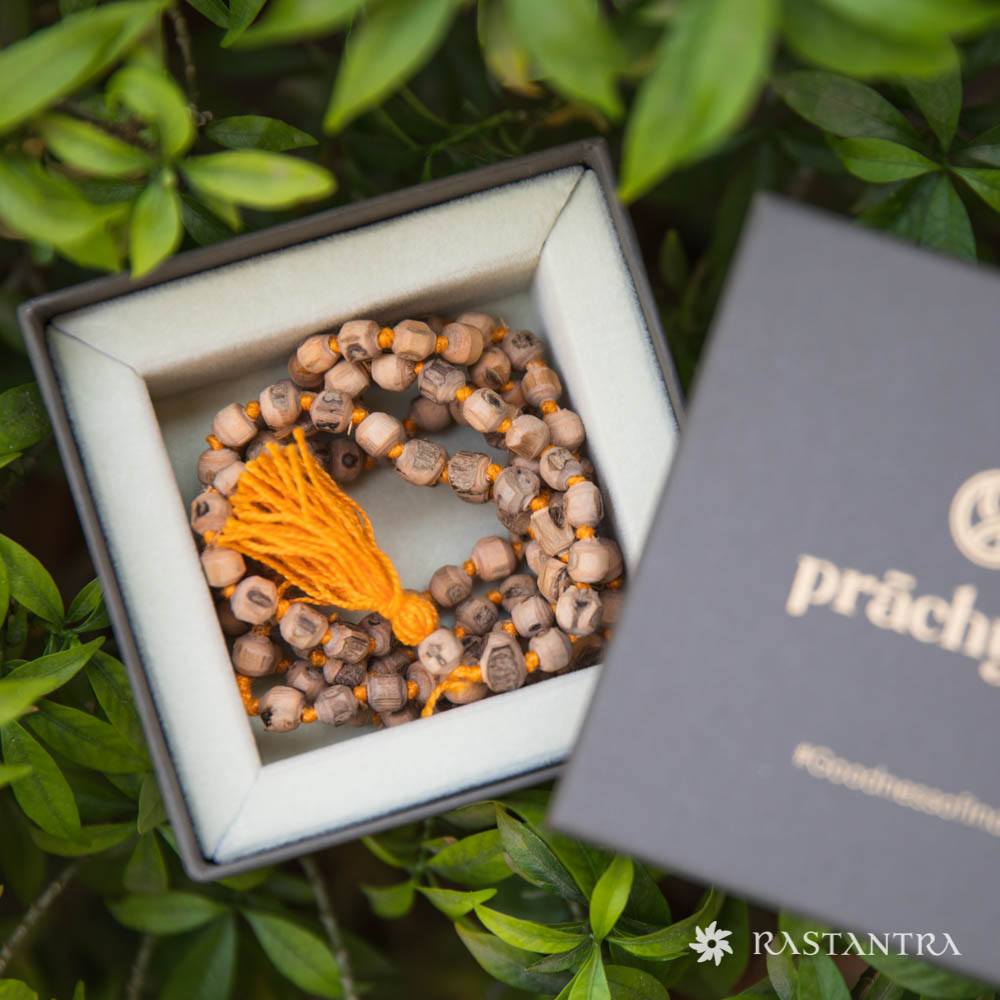 Natural Tulsi Mala | Energized with Mantras