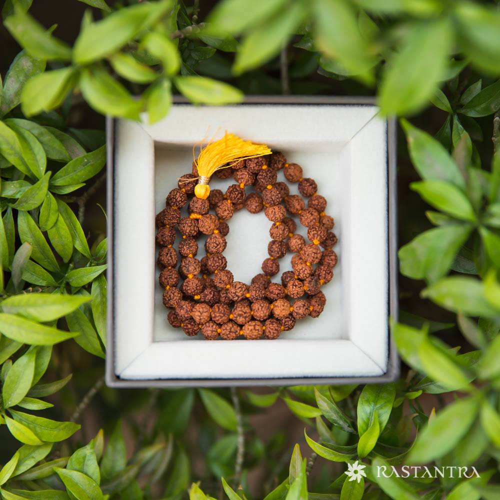 5-Mukhi Rudraksha Mala | Energized with Mantras & 100% Certified
