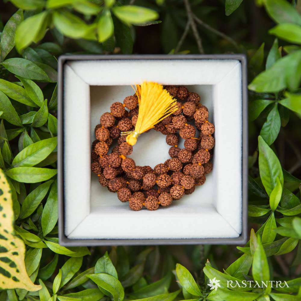 5-Mukhi Rudraksha Mala | Energized with Mantras & 100% Certified