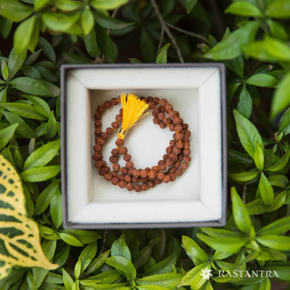 5-Mukhi Rudraksha Mala | Energized with Mantras & 100% Certified