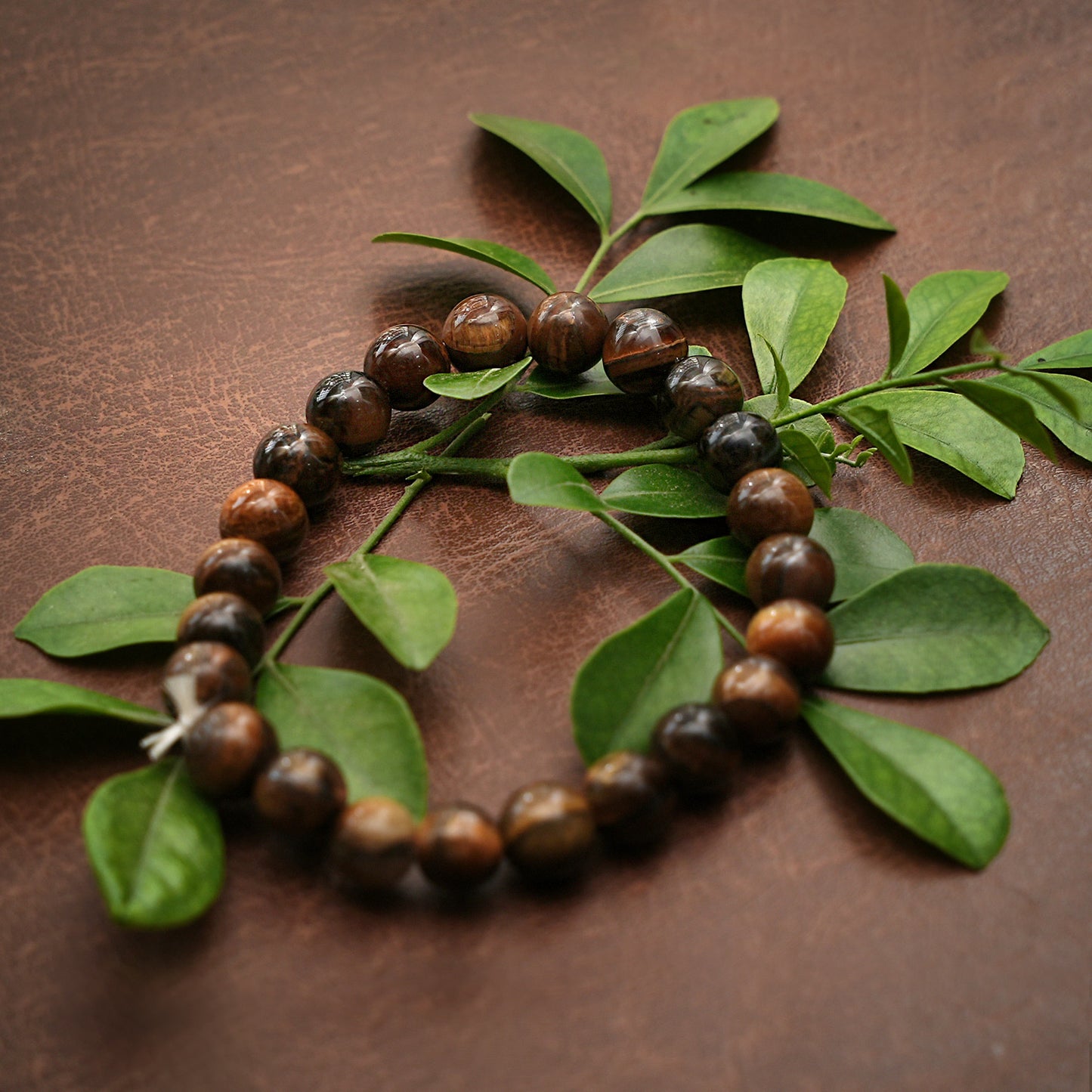 Baghmani Protection Bracelet | Symbol of Strength, Courage & Spiritual Shielding